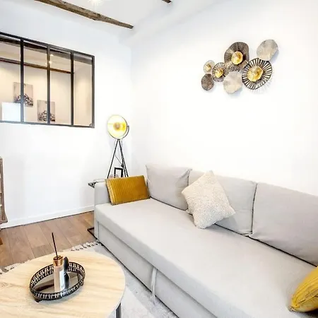 Apartman Cosy Appart En Centre Ville/quartier Artistique